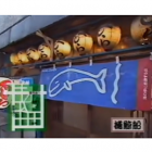 【浅草 捕鯨船 移転前 動画】