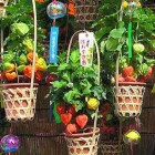【浅草 四万六千日 ほおずき市】