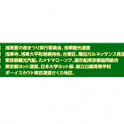 【隅田川とうろう流し その後】