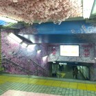 【上野駅構内に突如「桜満開」エリアが出現！】