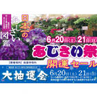 長國寺で「あじさい祭」今日から開催！