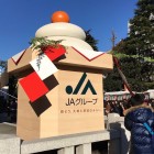 浅草寺に超巨大な鏡餅が出現！　なんと夜には光る！　７日まで